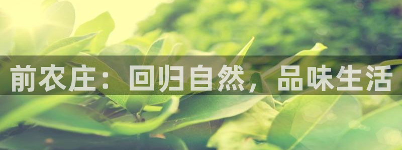 天辰娱乐61116