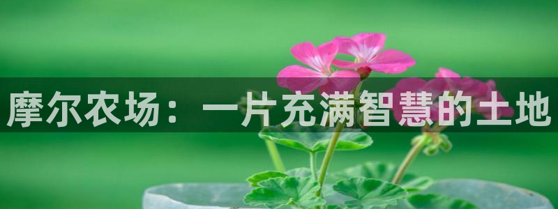 天辰娱乐1966