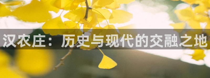 天辰娱乐元宝