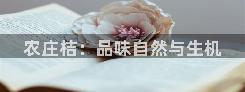 天辰娱乐官方登录下载