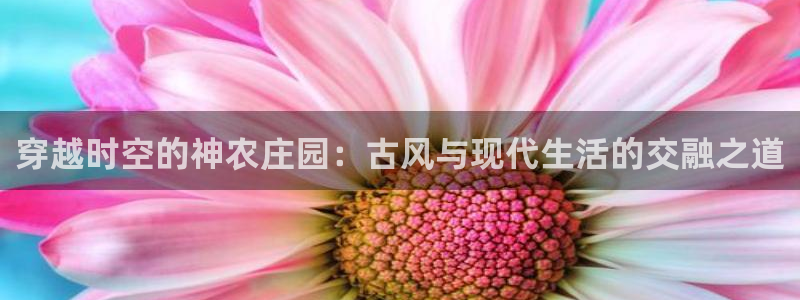 天辰娱乐平台测速