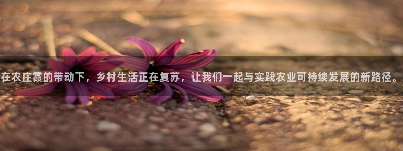 天辰娱乐在线登录注册