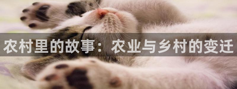 天辰娱乐指尖所