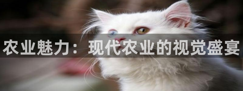 天辰娱乐在线登录注册