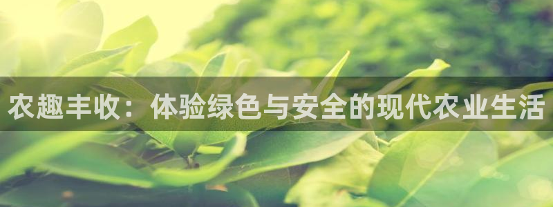 天辰娱乐测速