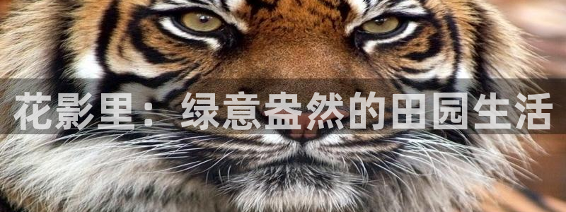 腾讯天辰娱乐